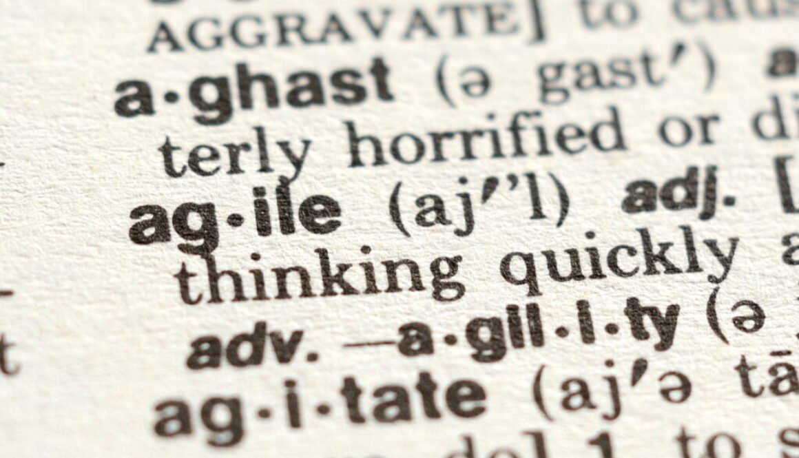 Close-up of The Word Agile in a Dictionary